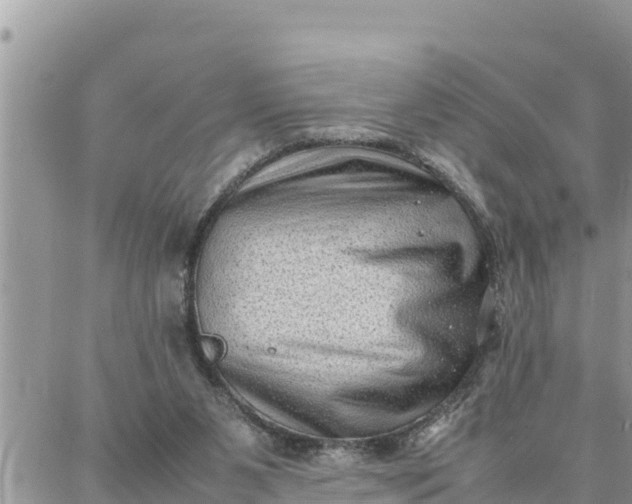 X0000087320111200705041724