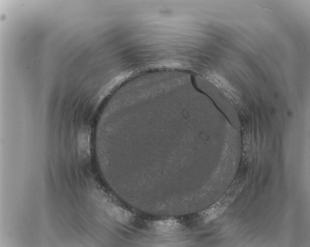 X0000087320112200705041724