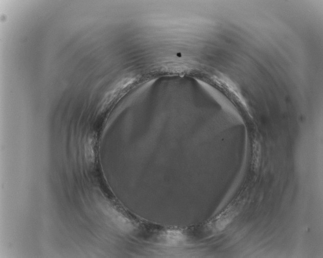 X0000087320114200705041724