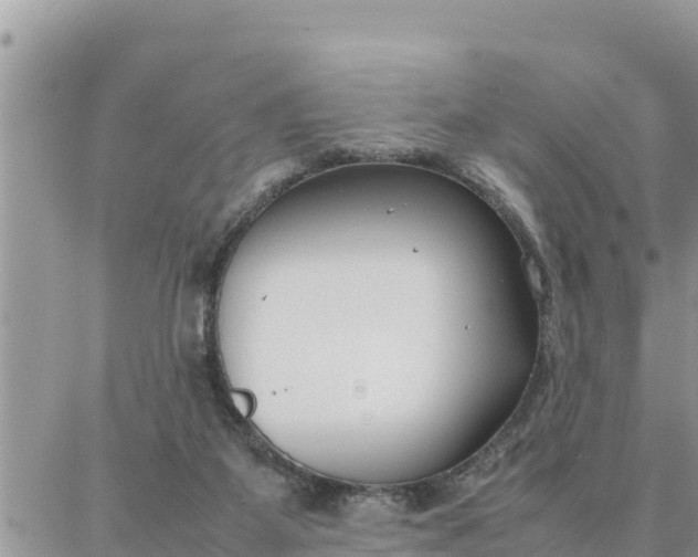 X0000087320115200705041724