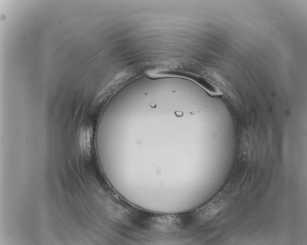 X0000087320118200705041724