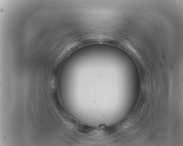 X0000087320119200705041724