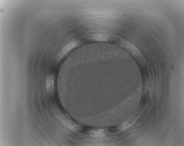 X0000087320120200705041724