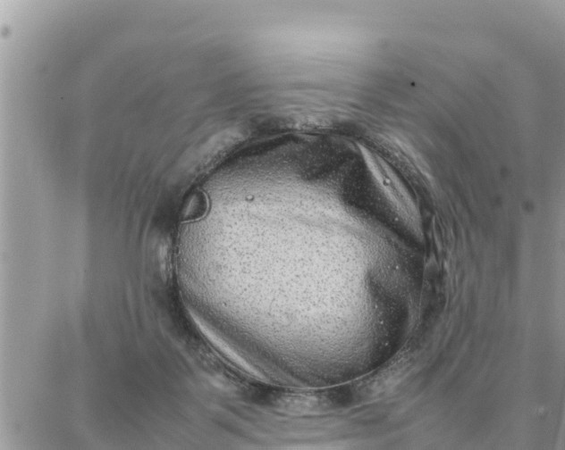 X0000087320123200705041724