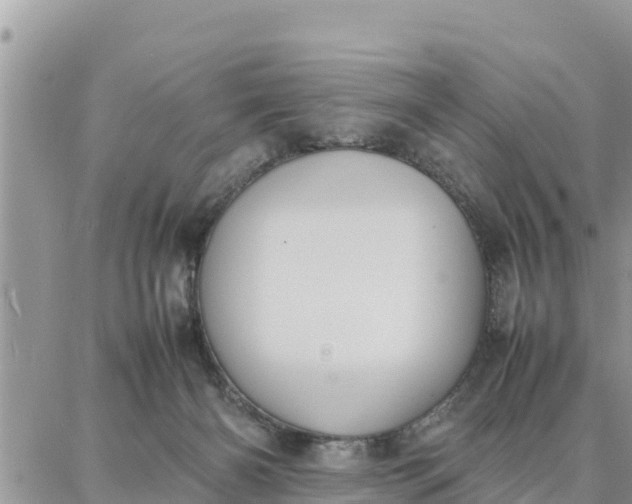 X0000087320126200705041724