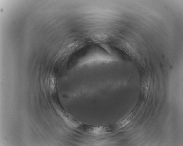 X0000087320130200705041724