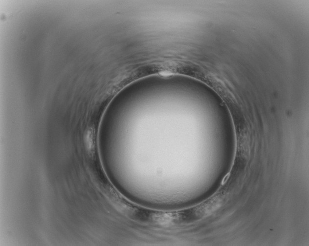 X0000087320131200705041724