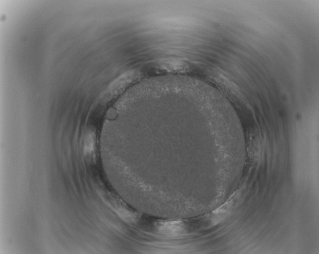 X0000087320132200705041724