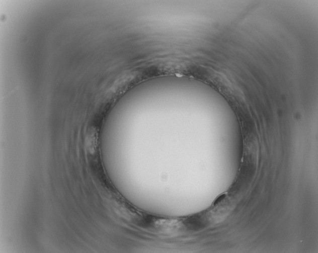 X0000087320133200705041724