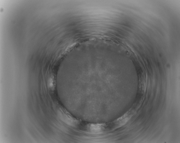 X0000087320134200705041724