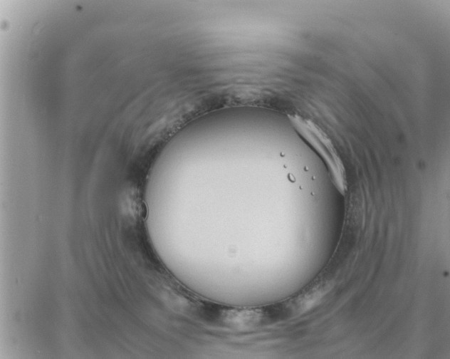 X0000087320135200705041724