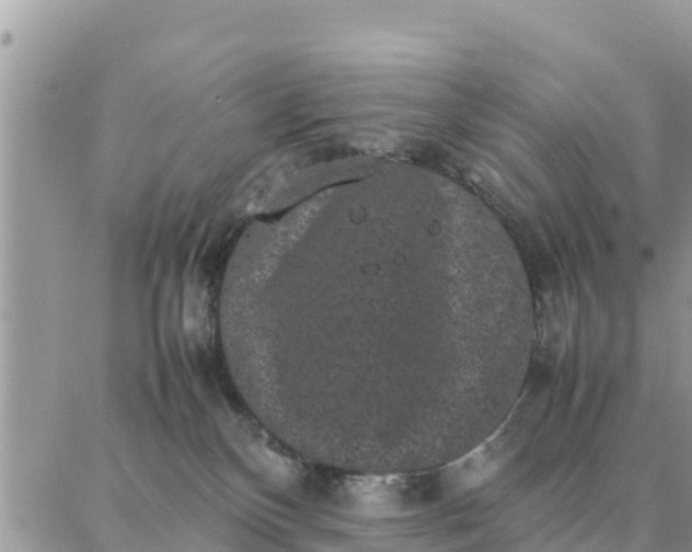 X0000087320136200705041724