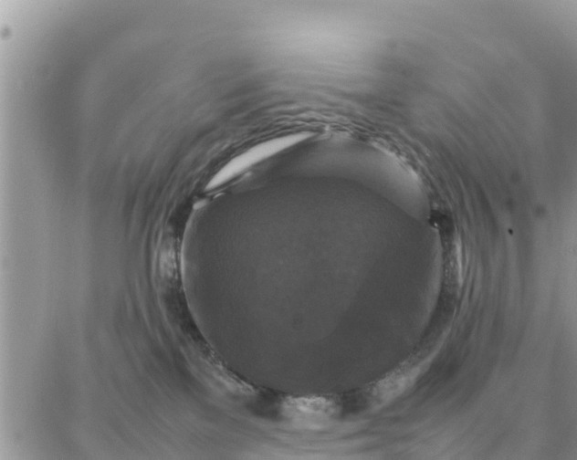 X0000087320137200705041724