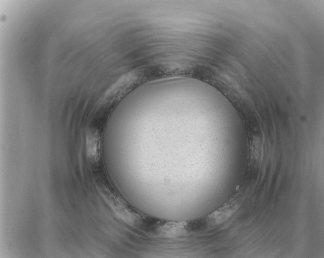 X0000087320138200705041724