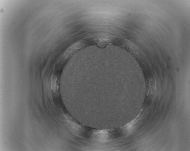 X0000087320140200705041724