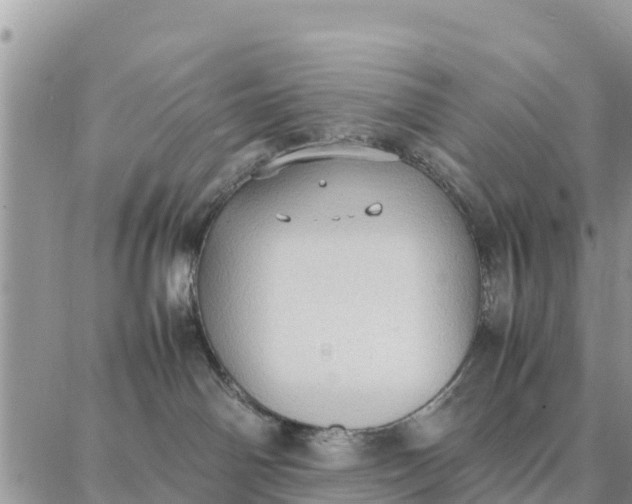 X0000087320142200705041724