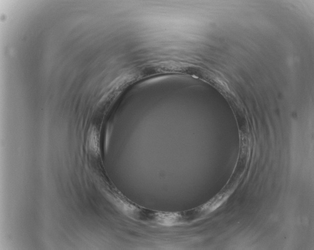 X0000087320143200705041724