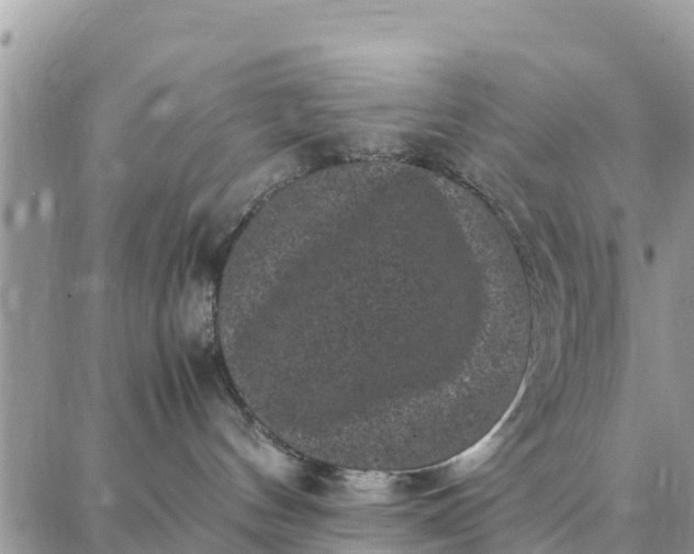 X0000087320144200705041724