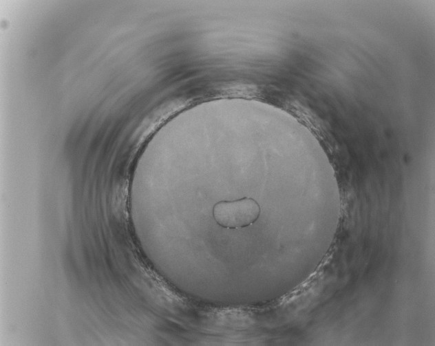 X0000087320146200705041723