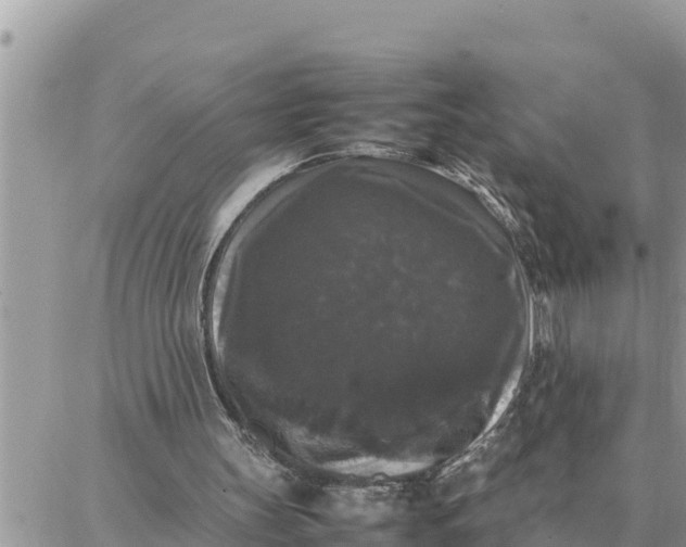 X0000087320147200705041723