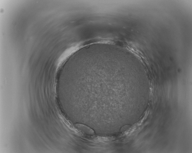 X0000087320149200705041723