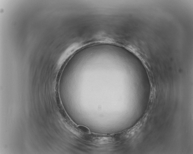 X0000087320151200705041723