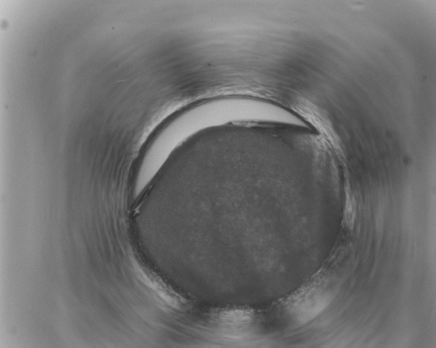 X0000087320156200705041723