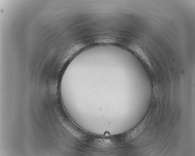 X0000087320159200705041723