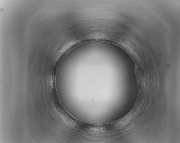 X0000087320160200705041723