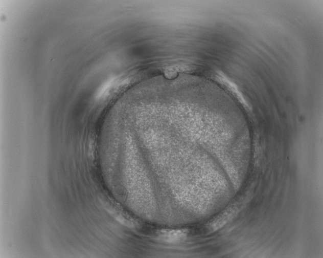 X0000087320161200705041723