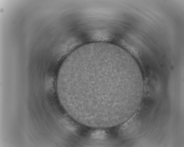 X0000087320162200705041723