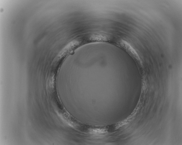 X0000087320163200705041723