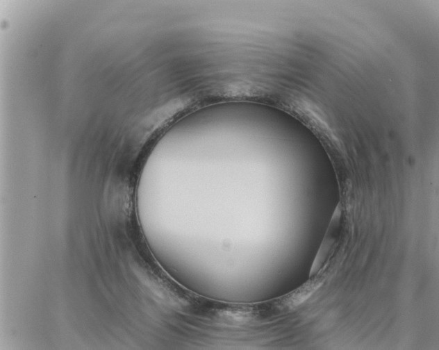 X0000087320164200705041723