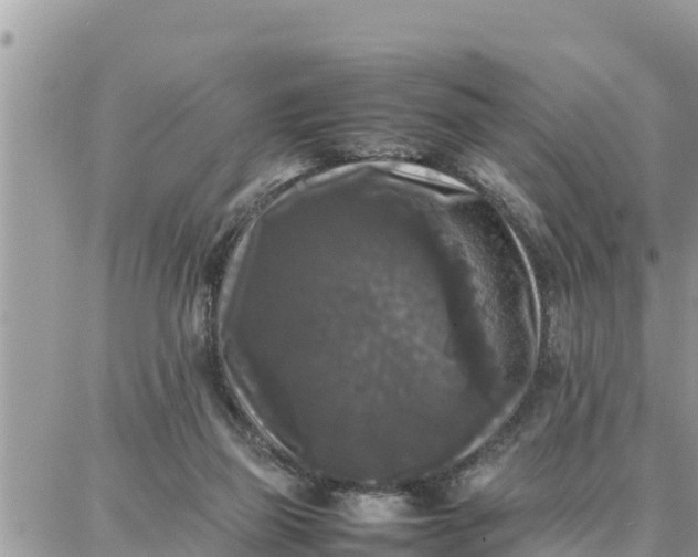 X0000087320165200705041723