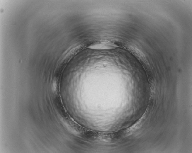 X0000087320166200705041723