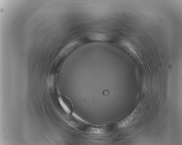 X0000087320167200705041723