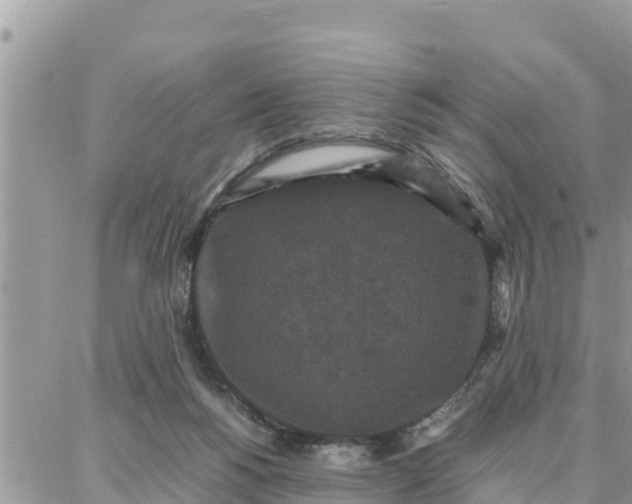 X0000087320168200705041723