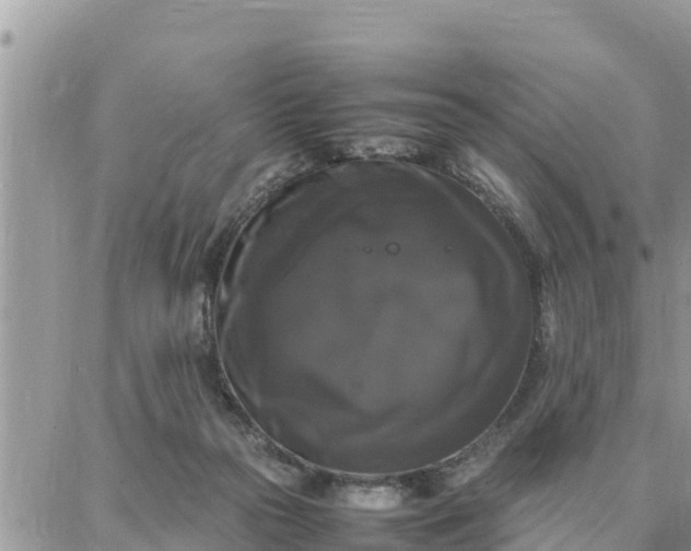 X0000087320169200705041723