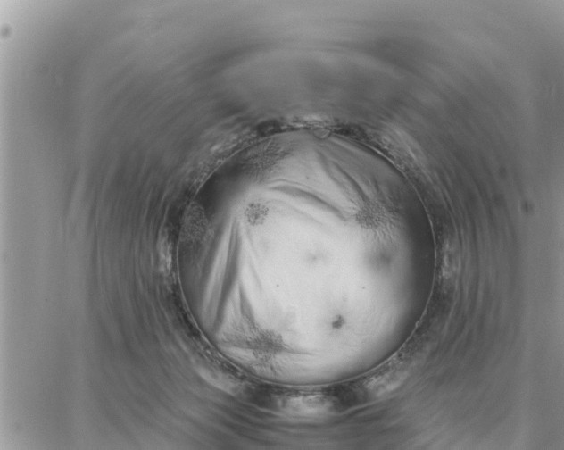 X0000087320173200705041723