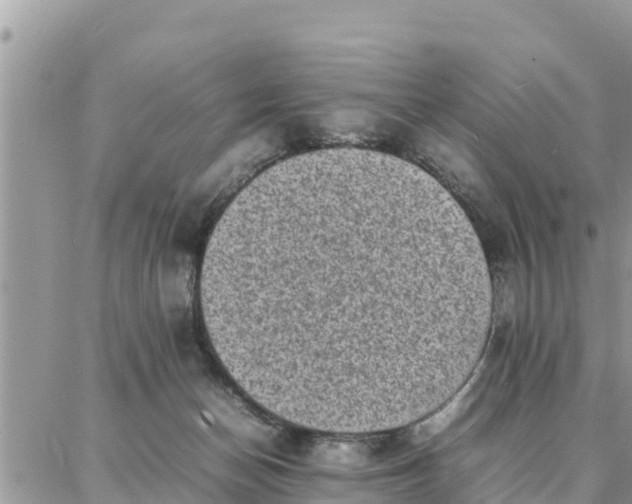 X0000087320174200705041723