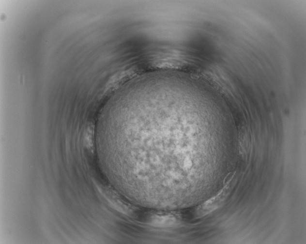 X0000087320175200705041723