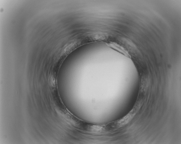 X0000087320176200705041723