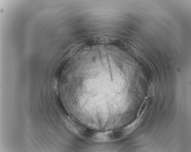 X0000087320178200705041723