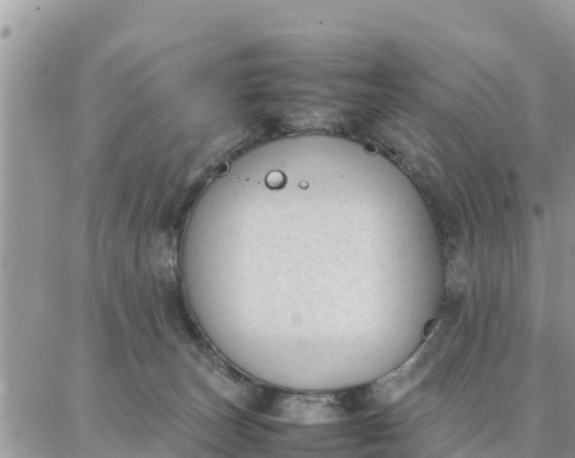 X0000087320179200705041723