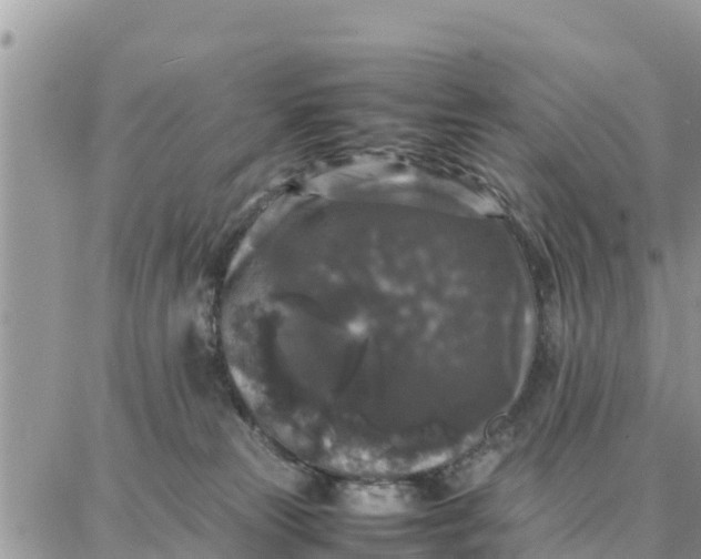 X0000087320181200705041723