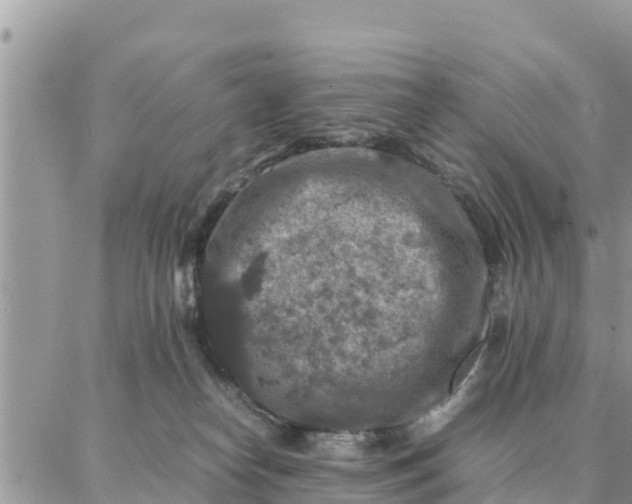 X0000087320182200705041723