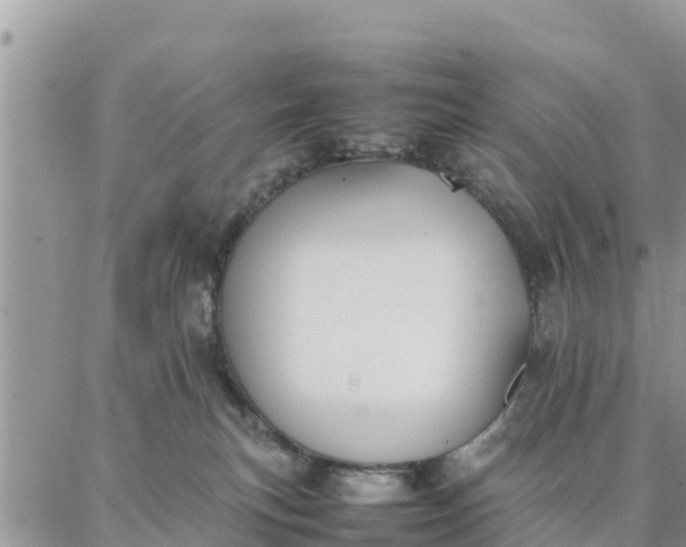 X0000087320183200705041723