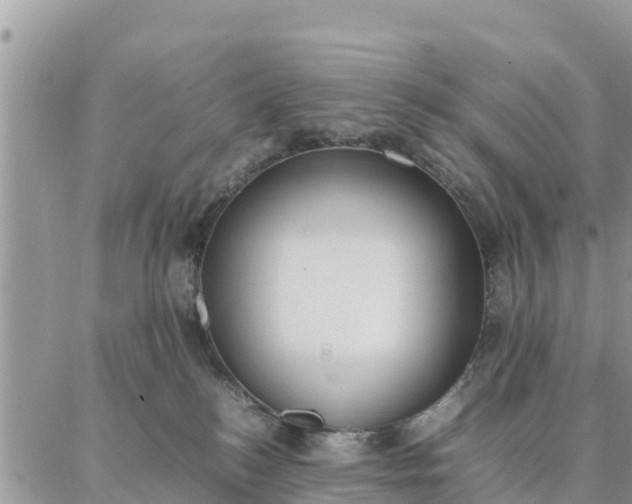 X0000087320184200705041724