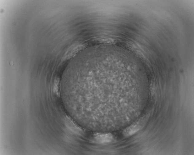 X0000087320185200705041724