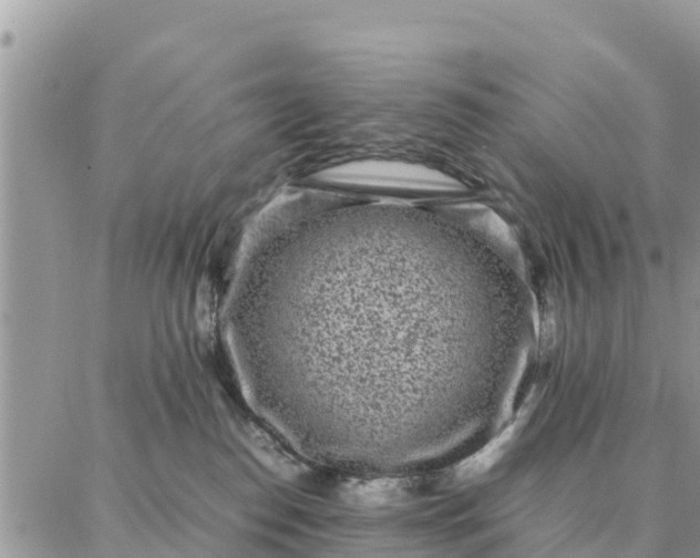 X0000087320186200705041724